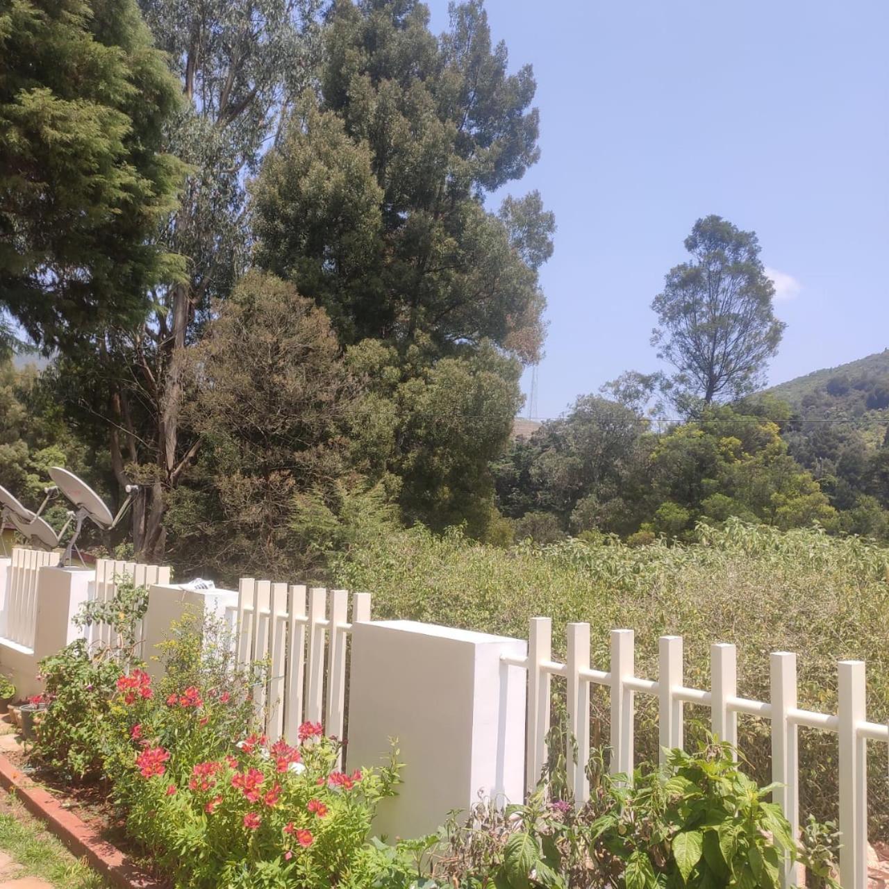 Villa Snowdrops Ooty Extérieur photo
